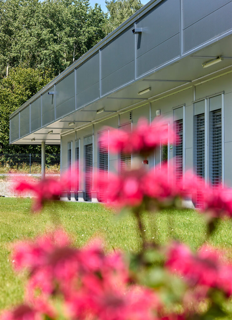 kwiaty na tle hali - inwestycja Herkules Wire, w województwie wielkopolskim